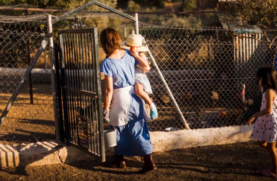 Backyard Frontier, Why Subdivisions and Hobby Farms Are the New Battlegrounds for Avian Influenza