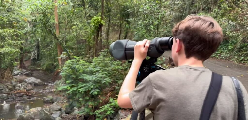 Birdwatching Tours in Republic of the Philippines