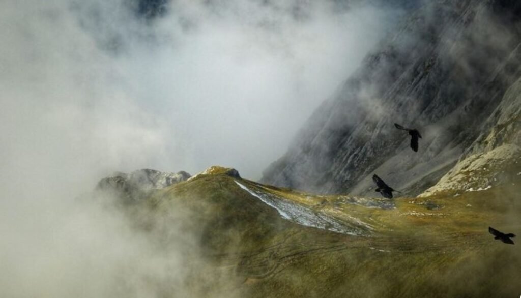 Highland Meltdown, Why Scotland Mountains Are About to Lose Their First Native Bird to Climate Change