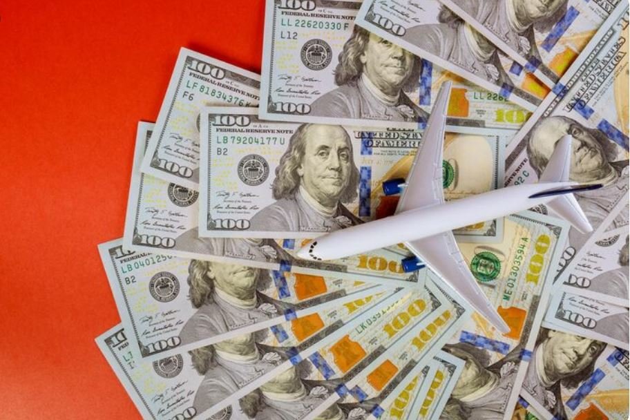 How Shifting Aviation Policies Ruptured a Multi-Million Dollar Global Avian Pipeline