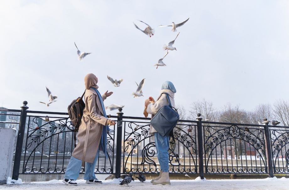 Chaos on the Flyways: How Shifting Spring Temperatures Are Leaving Migration Schedules in Tatters