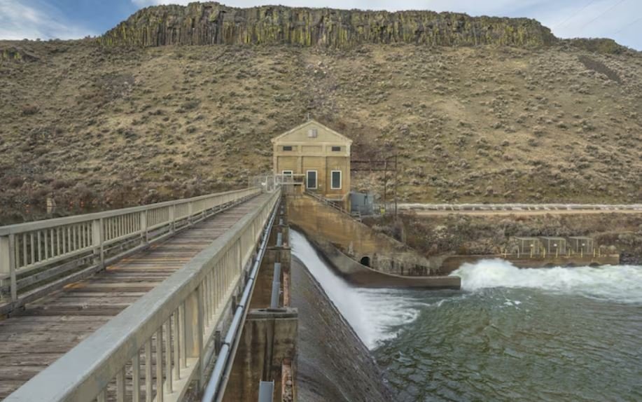 Industrial Havens, How Decades-Old British Reservoirs Transformed Into Premier Avian Sanctuaries