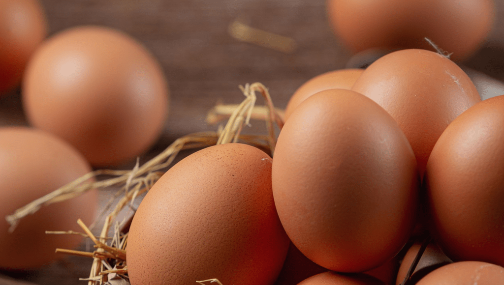 Eggs Recalled for Salmonella Risk: Check Your Fridge Before Your Next Breakfast