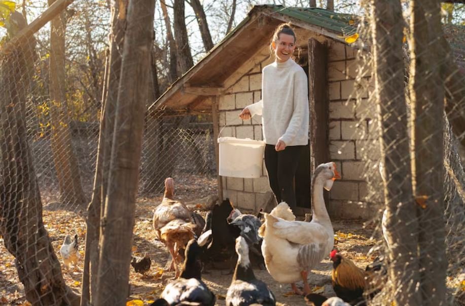 Why Your Backyard Chicken Hobby Might Be a Risk to the Forest Next Door