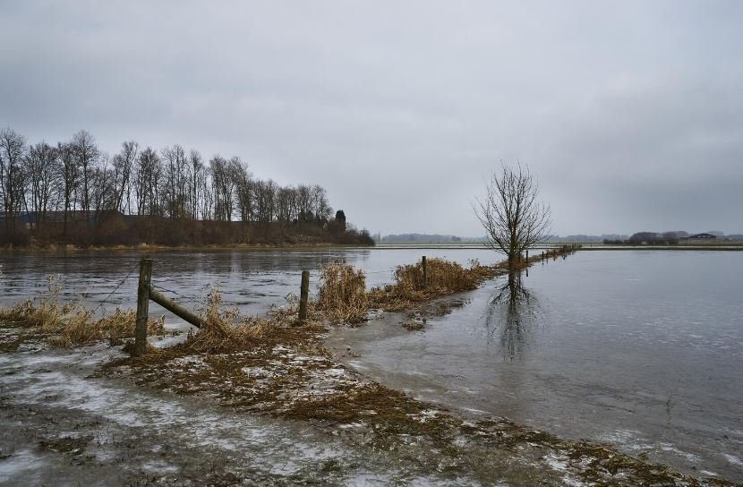 How Record-Breaking UK Floods Are Destroying River-Nesting Communities Across England